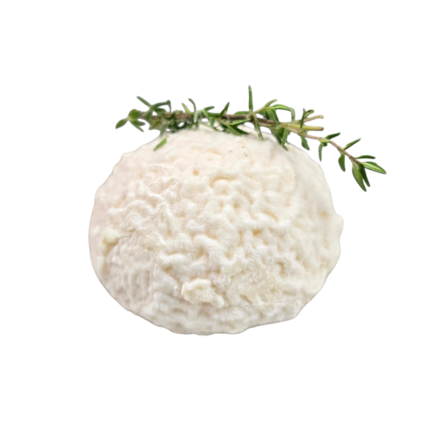Boules fermières de chèvre au thym
