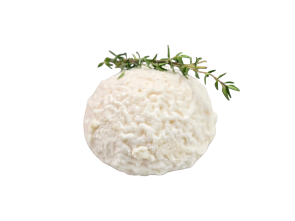 Boules fermières de chèvre au thym