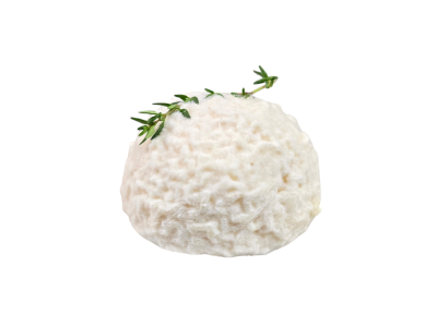 Photoroom-20241205_124628