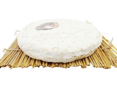 PhotoRoom-20220120_102940-01