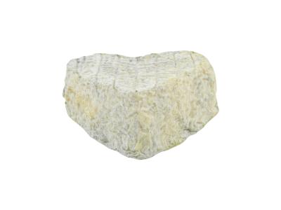 PhotoRoom-20220119_134032-01