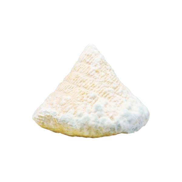 Cosne du Port Aubry (100 gr.)