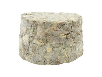 PhotoRoom-20220126_133104-01