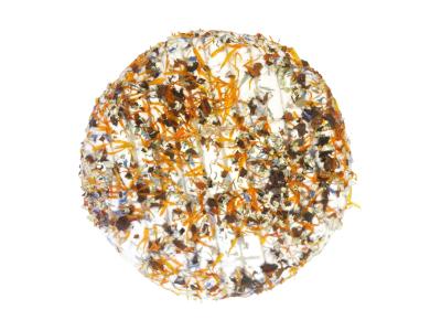 PhotoRoom-20221007_091203-01