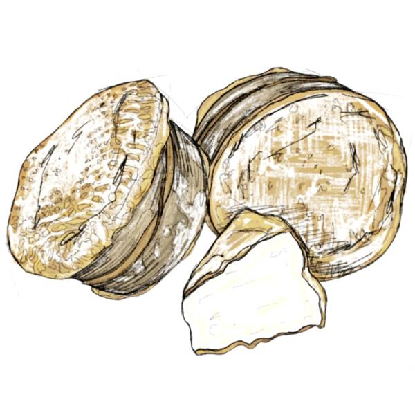 La Sanglée Des Couardis