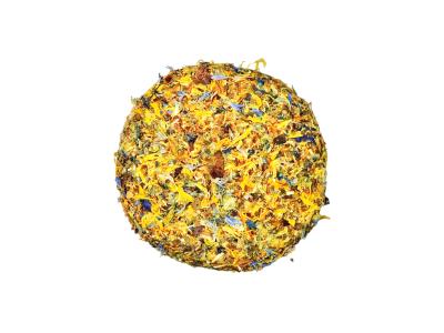 PhotoRoom-20220331_104149-01