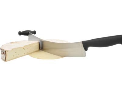 PhotoRoom-20220121_094736-01