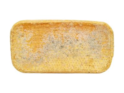 PhotoRoom-20220929_120052-01