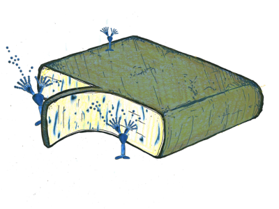 Raclette blauwgeaderd (100 gr.)