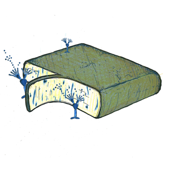 Raclette blauwgeaderd (100 gr.)