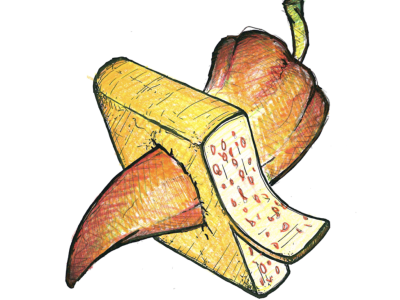 Raclette Chili (100 gr.)