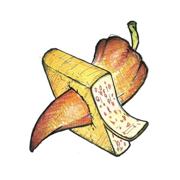 Raclette Chili (100 gr.)