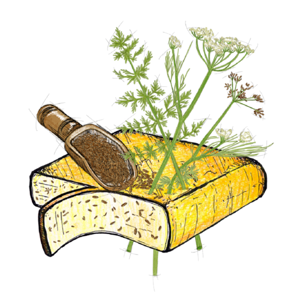 Raclette komijn (100 gr.)