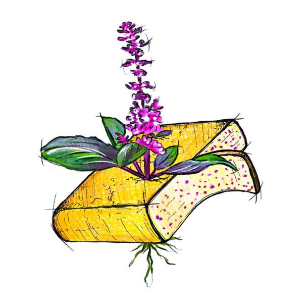 Raclette Koningsbasilicum (100 gr.)