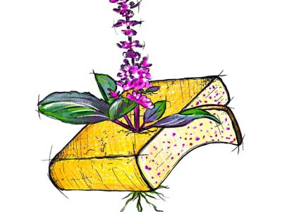 Raclette Koningsbasilicum (100 gr.)