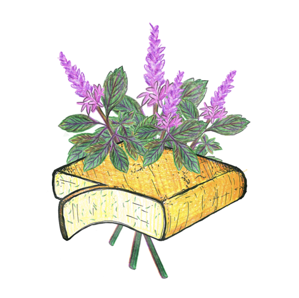 Raclette met Basilicum (100 gr.)