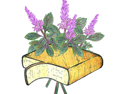 Raclette met Basilicum (100 gr.)