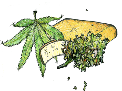 Raclette met Hennepzaad (100 gr.)