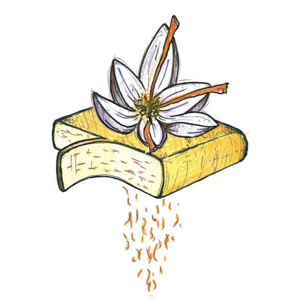 Raclette met Safraan (100 gr.)