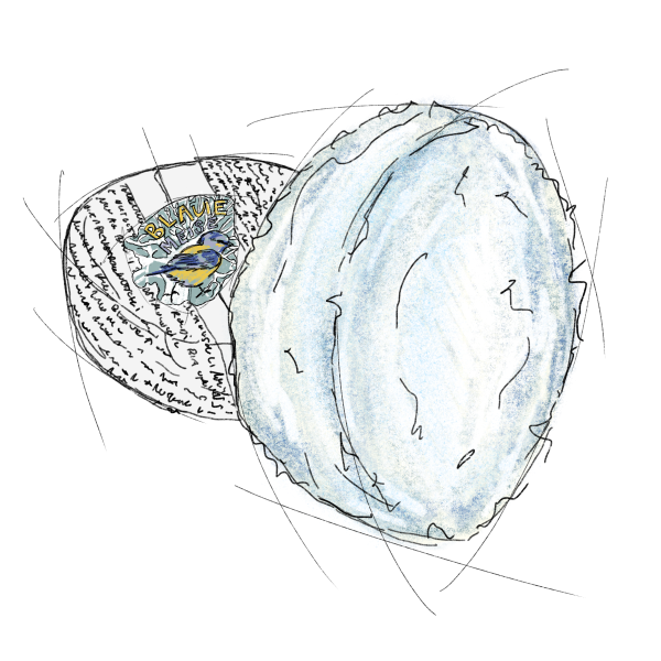 Blaue meise (100 gram)