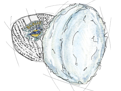 Blaue meise (100 gram)