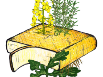 Raclette Rozemarijn-Raps (R-R-R) (100 gr.)