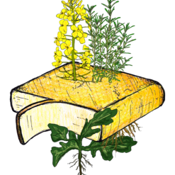 Raclette Rozemarijn-Raps (R-R-R) (100 gr.)