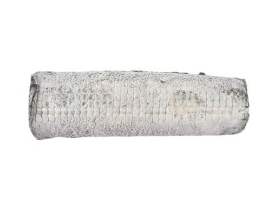 st_maure_de_touraine_2