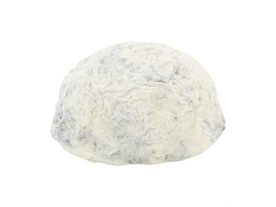 Taupiniere Charentaise