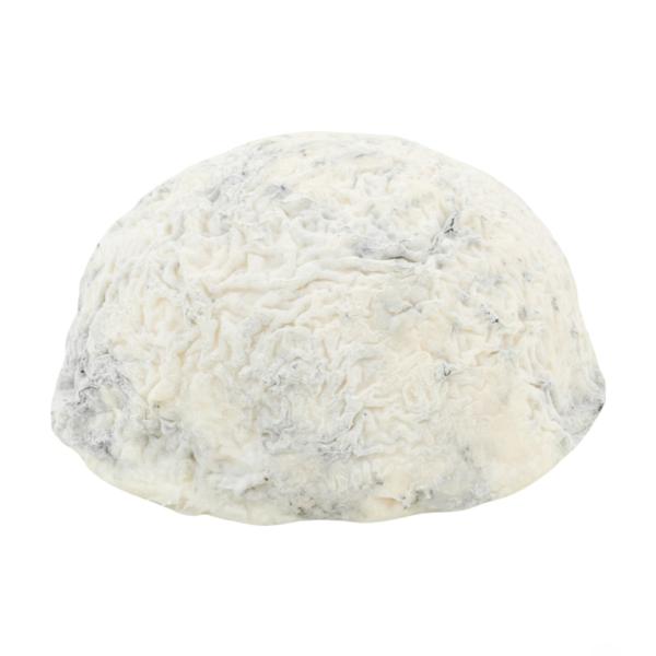 Taupiniere Charentaise